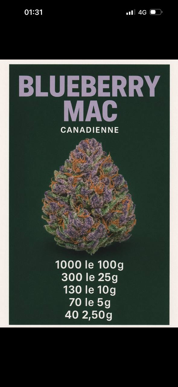 BLUEBERRY MAC CANADA